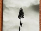 Manchester Orchestra A Black Mile To The Surface Double 12