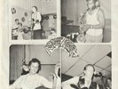 WILD ROCKABILLY MINI LP - 5 SONGS - 5 ROCKABILLY ARTISTS - 33 RPM
