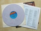 WAYNE COUNTY & THE ELECTRIC CHAIRS Storm The Gates Of Heaven Multi coloured LP