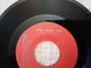 THE ROCKIN' RAMRODS 45 WILD ABOUT YOU on SOUTHERN SOUND LABEL 205 Garage Rock