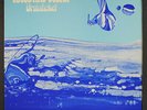 BRAINTICKET: celestial ocean RCA 12