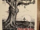 After the Fire LP vinyl original Rock o Rama Oi isd