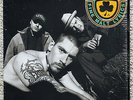 HOUSE OF PAIN - FINE MALT LYRICS VINYL LP SHRINK 1st PRESS 1992 ORIG VERY RARE
