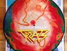 Sleigh Bells - Treats Vinyl LP Picture Disc New 200g