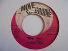 JUNIOR SOUL  Big Boy MOVE & GROOVE Reggae 7