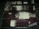Noel Gallagher's High Flying Birds 