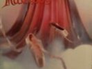 MADISON-Best in Show     feat.Göran Edman           Rare Sweden Hard Rock LP