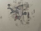 Frightened Rabbit The Midnight Organ Fight Vinyl