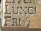 Frightened Rabbit Liver Lung FR  Vinyl