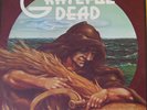 Grateful Dead- Wake of the Flood - Vinyl LP - Excellent to NM Condition