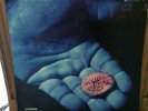 Coldplay - The Blue Room 12