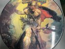 MOLLY HATCHET - Flirtin' With Disaster (1979 Picture Disc)
