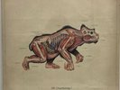 Blood Cultures - Oh Uncertainty A Universe Despairs - NEW Sealed Vinyl LP