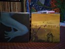 Sun Araw/Coconuts Vinyl Hotline Miami
