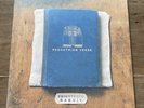 FRIGHTENED RABBIT - PEDESTRIAN VERSE - VINYL LP ALBUM - EXCELLENT CONDITION