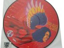 DAVID BOWIE MAN WHO SOLD THE WORLD RSD 2016 PICTURE DISC
