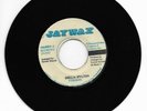 SHEILA HYLTON - FALLING IN LOVE // SHELIA HYLTON VERSION [ JAYWAX ] [ FEB120 ]