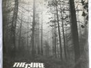 THE CURE -A Forest- Very Rare UK 12