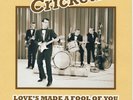 The Crickets (Buddy Holly) 