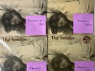 The Smiths MORRISSEY This Charming Man 4x 7