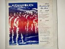 Grateful Dead Mountains of the Moon LP 
