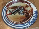 Lynyrd Skynyrd - Freebird - EX Condition Picture Disc Vinyl 12” Record MCATP 251