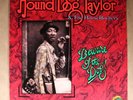 Hound Dog Taylor and The House Rockers ALLIGATOR AL-4707 STEREO M/M 
