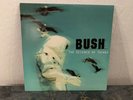Bush The Science of Things Vinyl Jan-2013 Kirtland Records Gavin Rossdale Tested