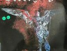 Steel Angel 1985 LP 33T Très Rare vinyle 