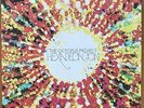 The Octopus Project-