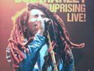 Bob Marley - Uprising Live 3 x LP 180 Gram Colored Vinyl Album LIMITED RECORD