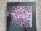 BLACKPINK The Album Limited Edition Vinyl Boxset UNOPENED