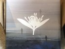Copeland Ixora Twin Vinyl