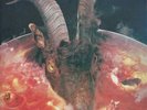Rolling Stones Goats Head Soup ltd edition clear vinyl 2LP w/ alternative cover