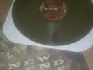 New Found Glory Not W.O. A Fight Color LP Punk Blink 182 MXPX NOFX Bad Religion