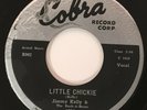 JIMMY KELLY & THE ROCK-A-BEATS Little Chickie Cobra Rockabilly Original 45 HEAR