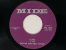 PAPPY'S HAUNTED HOUSE Dude Mide Garage Psych Fuzz Mod 45 HEAR
