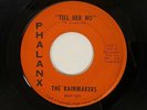 RAINMAKERS Tell Him No / You're Not the Only Phalanx Michigan Garage VG+ 45 HEAR