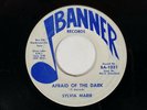 SYLVIA MARIE Afraid of the Dark Banner Garage Soul Funk Obscure Fuzz VG+ 45 HEAR