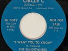 THE SUNDOWNERS Rockin' Spot / I Want You to Know Circle C Rockabilly NM 45 HEAR
