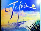 ZZ TOP TEJAS (5th STUDIO ALBUM) RARE ORIGINAL 1976 LONDON LP BEAUTIFUL