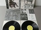ALICE IN CHAINS original gatefold Vinyl 2LP Same Alice In Chains (1995 Columbia)