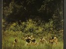 EVERGREEN BLUESHOES: (the ballad of) evergreen blueshoes AMOS 12