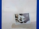 Fleetwood Mac Tusk Double LP with Double Picture Liners  NM / NM