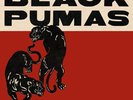 Black Pumas • Super Deluxe • 12