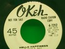 The Vibrations Keep On Keeping On / Hello Happiness 7