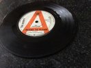 The Secrets I Intend To Please 7 Inch Promo
