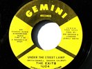 EXITS No/Sweet Soul 45rpm You Got To Have Money b/w Under the Street Lamp HEAR