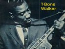 T-Bone Walker - Plain ole blues - 33/Lp/vinyle-82 UK  Charly 1037