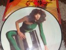 Kate Bush Album -The Kick Inside - Picture disc